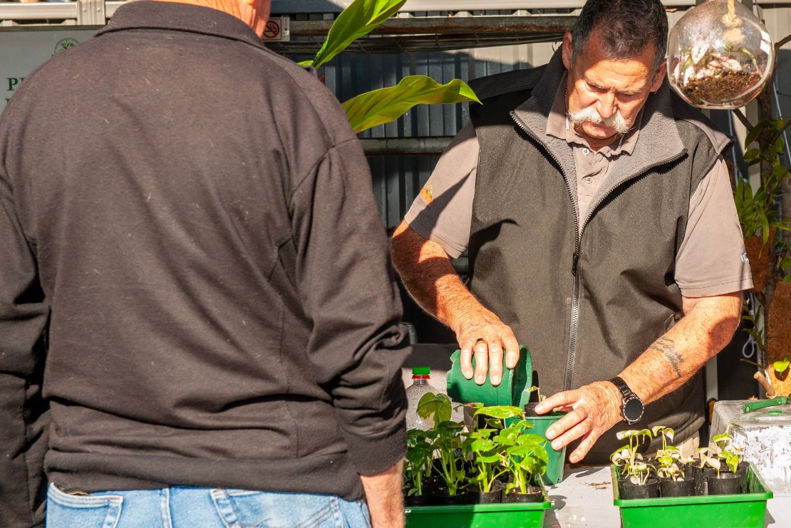 Mandurah Nursery - Pikies Plants Mandurah Nursery - Pikies Plants