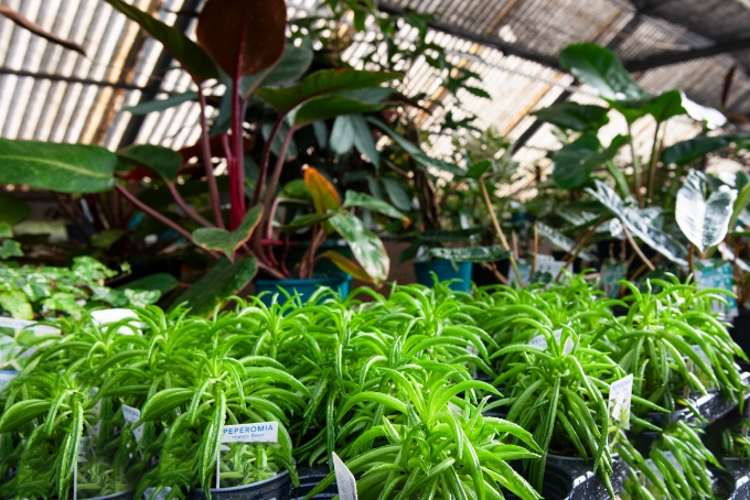 Nursery Mandurah Rd, Golden Bay, WA Nursery Mandurah Rd, Golden Bay, WA