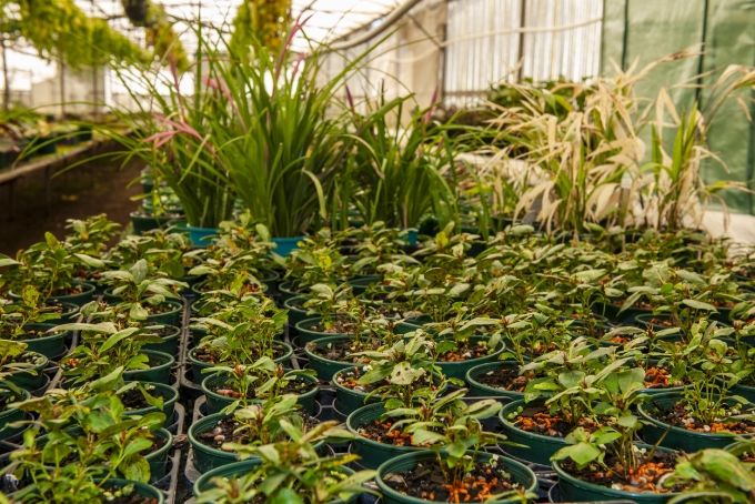 Nursery Mandurah Rd, Golden Bay, WA Nursery Mandurah Rd, Golden Bay, WA