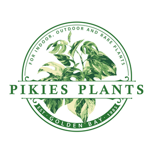 Pikies Nursery Mandurah Pikies Nursery Mandurah